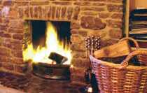 Real log fire